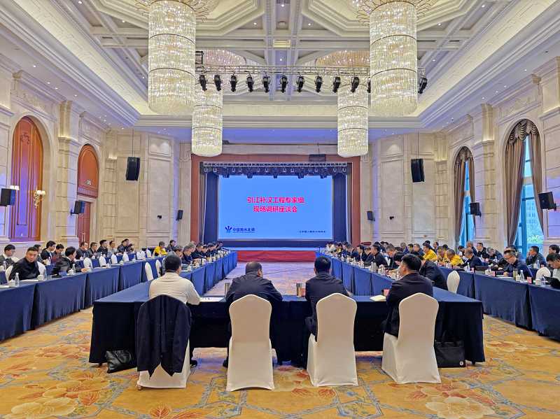 引江补汉工程专家组调研工程建设情况并组织召开专家座谈会