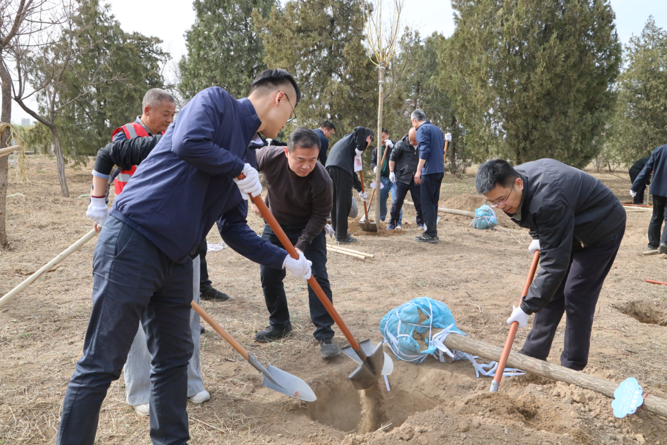 干部职工们合力回填泥土 干部职工们合力回填泥土